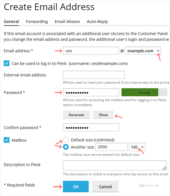 plesk-create-email-address.gif