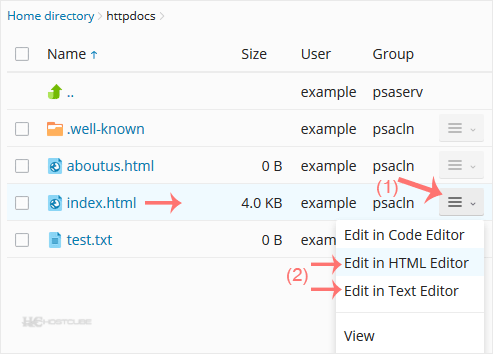 plesk-filemanager-edit-file-contextmenu.gif
